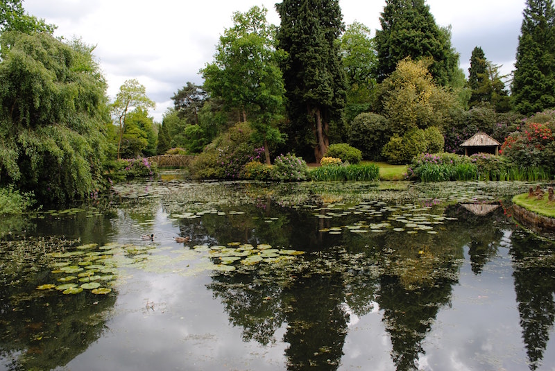 giardini all'inglese