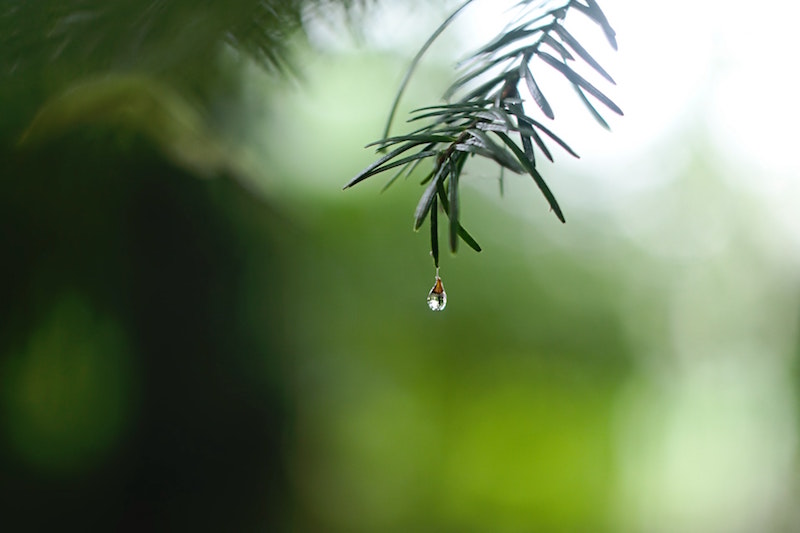 cambiamenti climatici