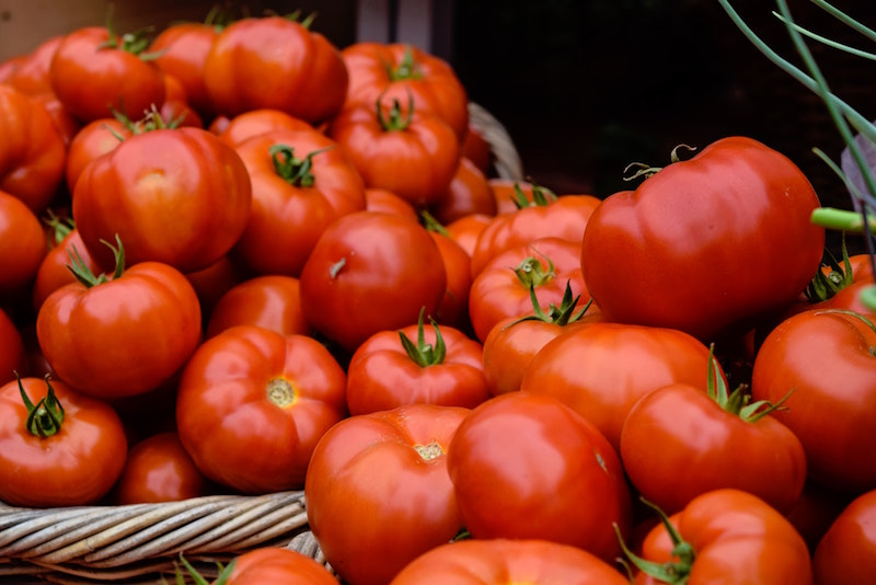 malattie del pomodoro