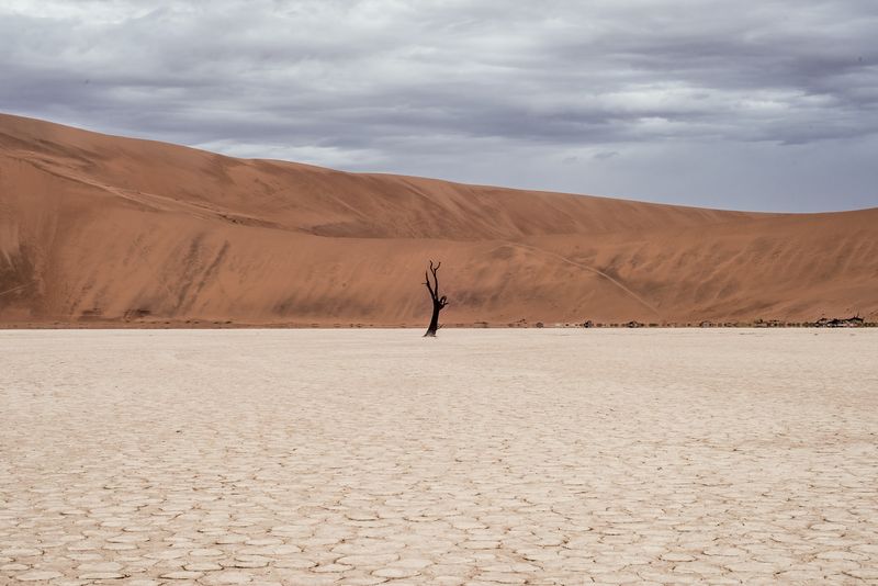 desertificazione