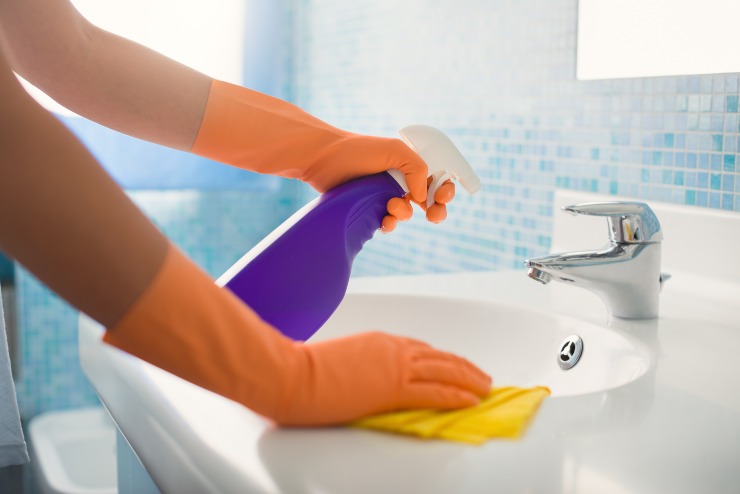 Sanitari del tuo bagno puliti splendenti e disinfettati utilizza questi due prodotti naturali