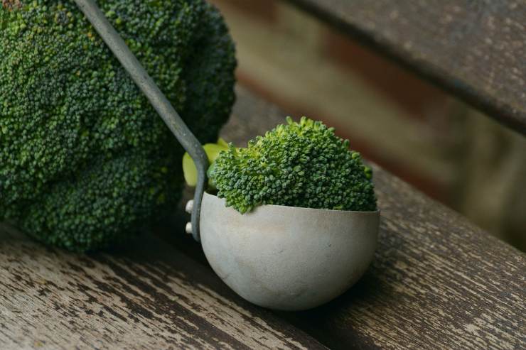 Broccoli - Fonte Pixabay