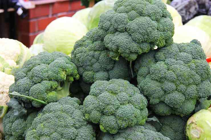 Broccoli - Fonte Pixabay