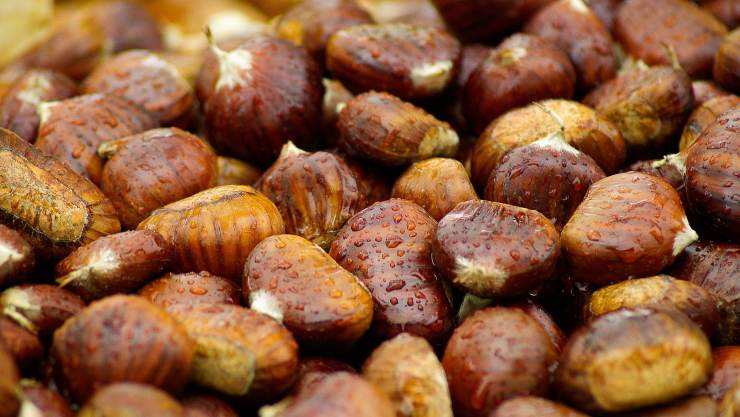 Castagne - Fonte Pixabay