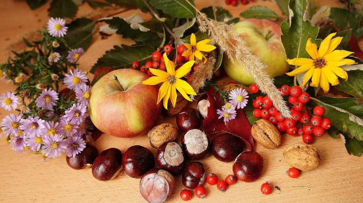 Castagne con mele e fiori - Fonte Pixabay