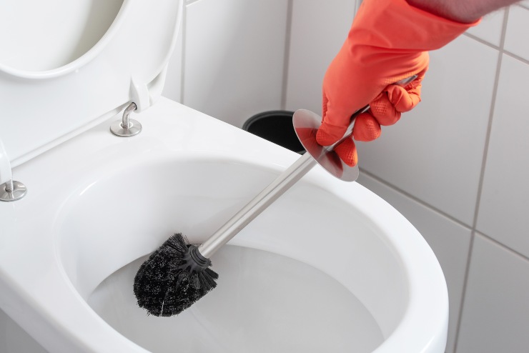 Scopino del bagno: l'oggetto più sporco della casa, non lo buttare sanificalo così, ma non solo le setole