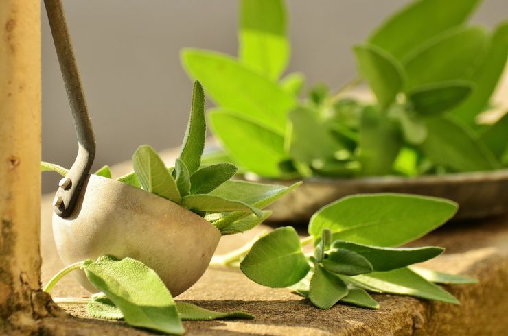 Ti basta un rametto di questa pianta aromatica per far profumare tutta casa (2)