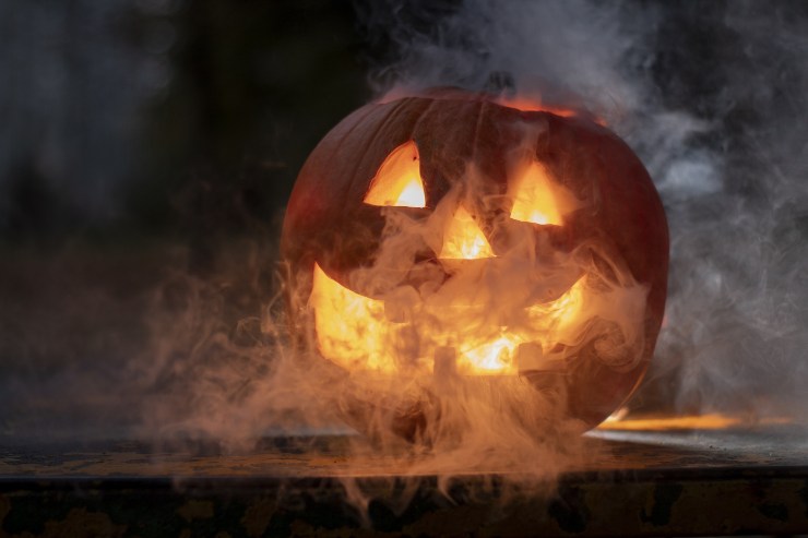 Zucca intagliata per Halloween - Fonte Pixabay