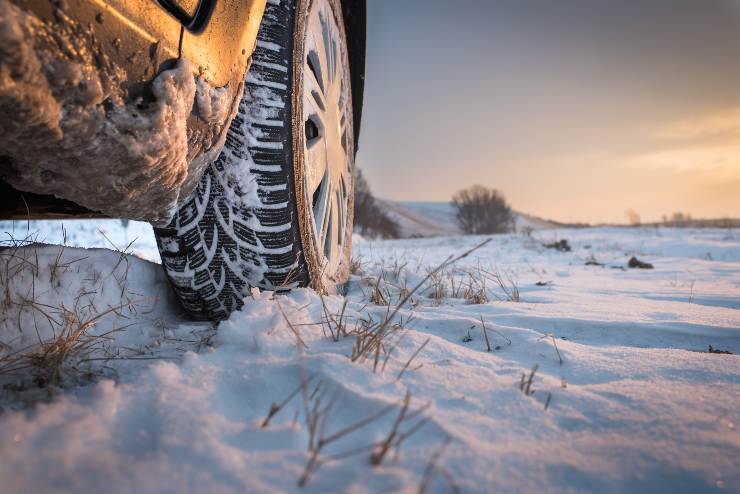 Gomme da neve - Fonte AdobeStock