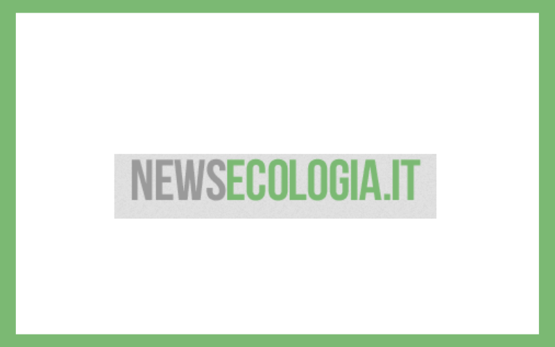 I Tuoi Vestiti Dopo Il Lavaggio Puzzano Di Muffa L errore Che Commetti 