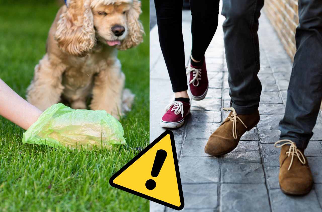 Pestare cacca di cane - Fonte AdobeStock