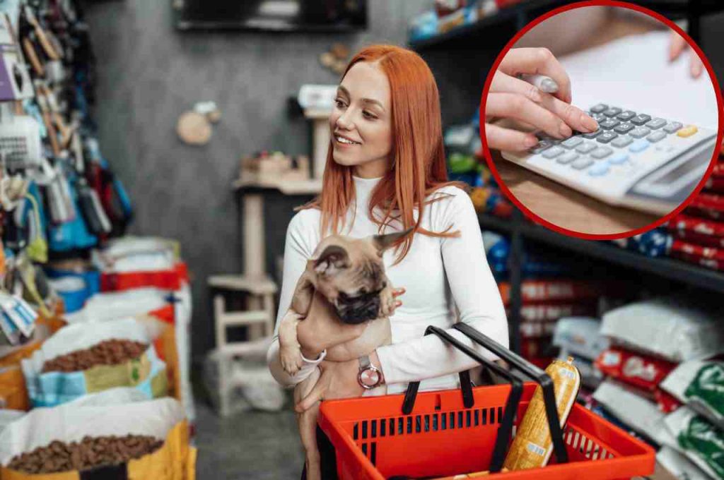 Sapete quanto costa mantenere un cane? Ecco il conto! NewsEcologia.it Sapete quanto costa mantenere un cane? Ecco il conto! NewsEcologia.it