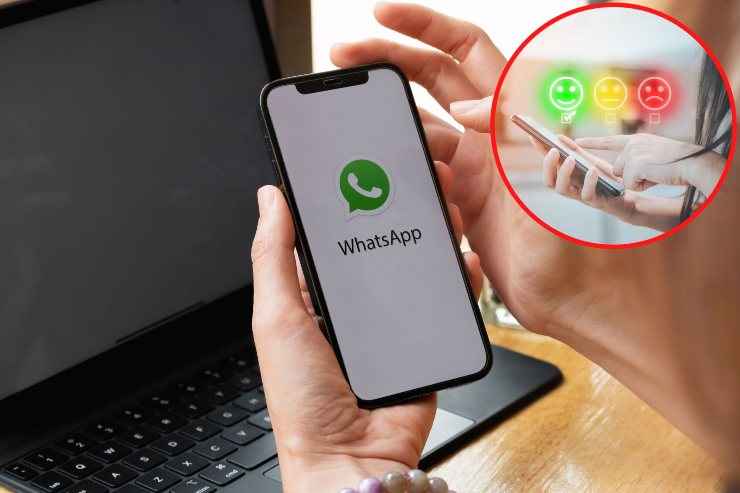 Sondaggi su WhatsApp - Fonte Pexels e AdobeStock