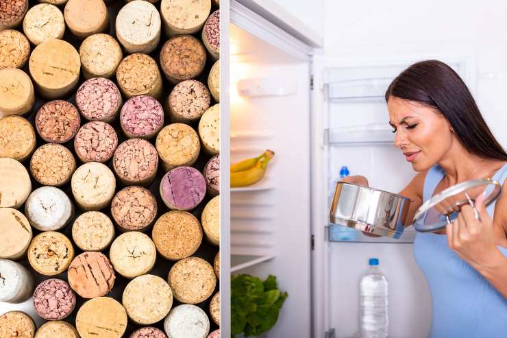 Tappo di sughero in frigo per gli odori - Fonte AdobeStock