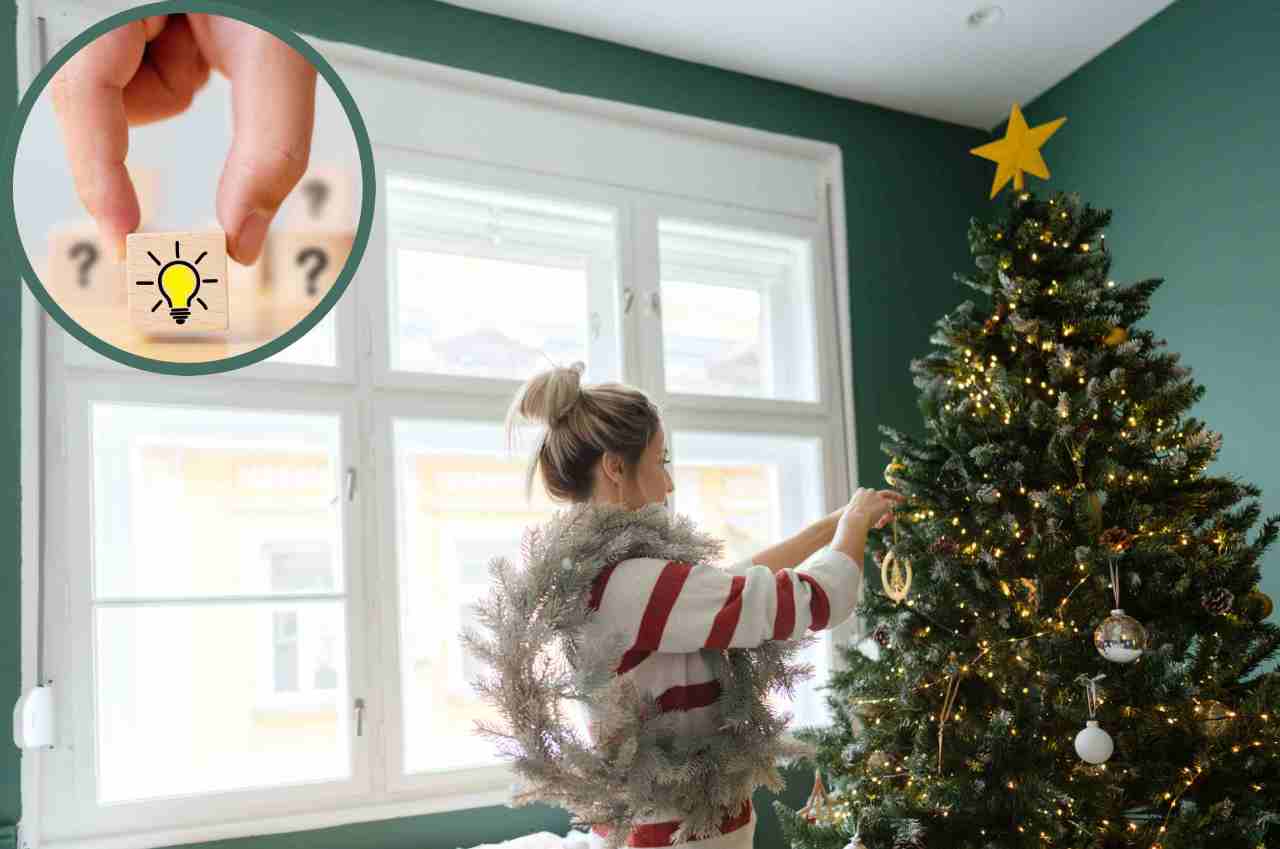 Albero di natale vero come fare per mantenerlo a lungo