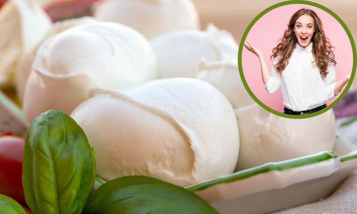 Mozzarella a prezzi da sturbo la classifica delle migliori