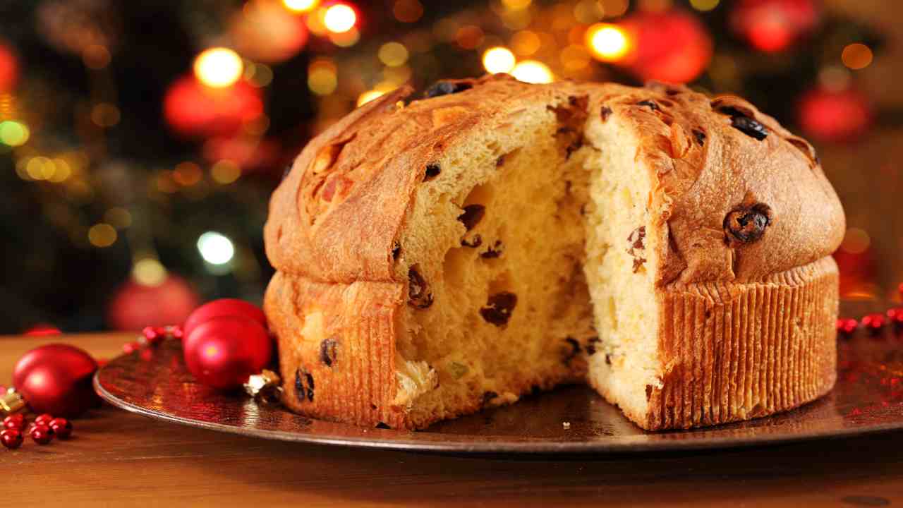 Natale panettone