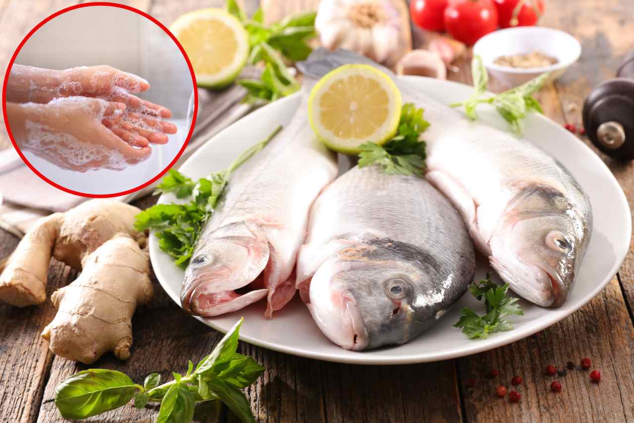 Togliere la puzza di pesce dalle mani - Fonte AdobeStock