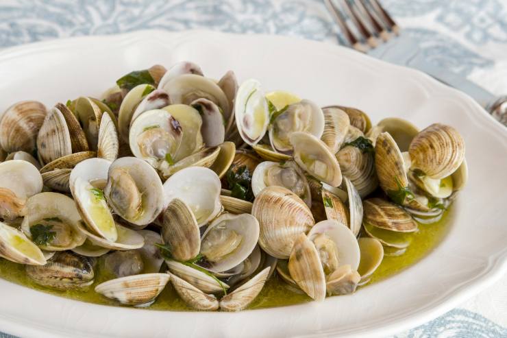 Vongole - Fonte AdobeStock