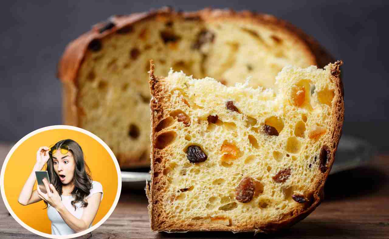 Vuoi comprare il miglior panettone del 2022, il più buono è questo