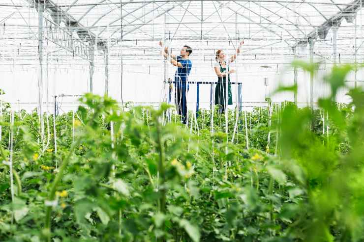 Bonus imprenditori agricoli, non tutti possono fare domanda_ ecco chi resta fuori