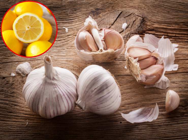 Eliminare l'odore di aglio con i limoni - Fonte AdobeStock