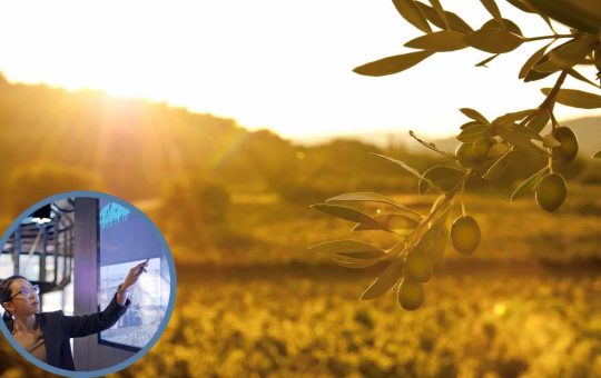 Giornate più lunghe, la Terra ci sta mandando un segnale_ ecco cosa sta succedendo