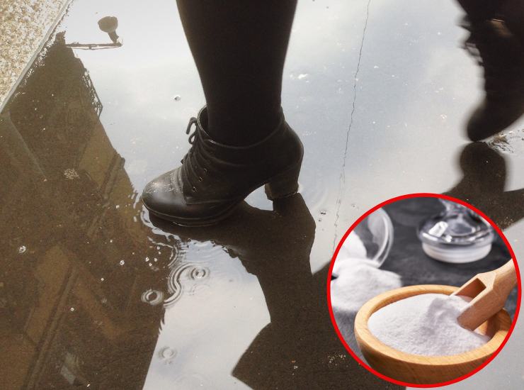 Asciugare rapidamente le scarpe dall'umidità - Fonte AdobeStock