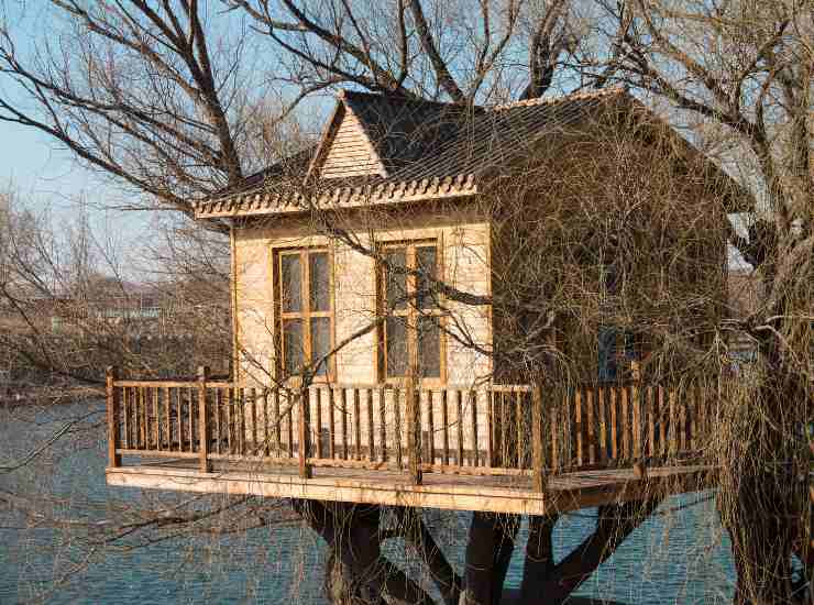 Casa sull'albero - Fonte AdobeStock