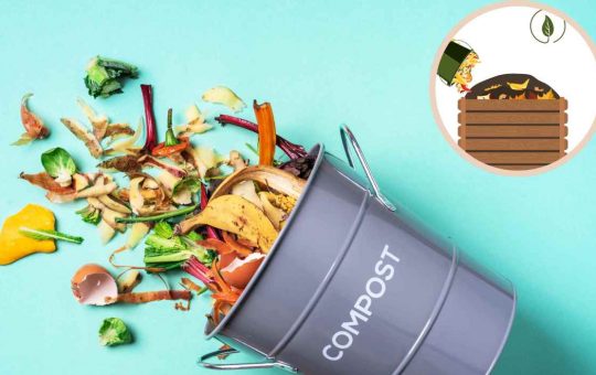 Compost e Concime, non si butta via nulla_ ecco come crearlo a casa