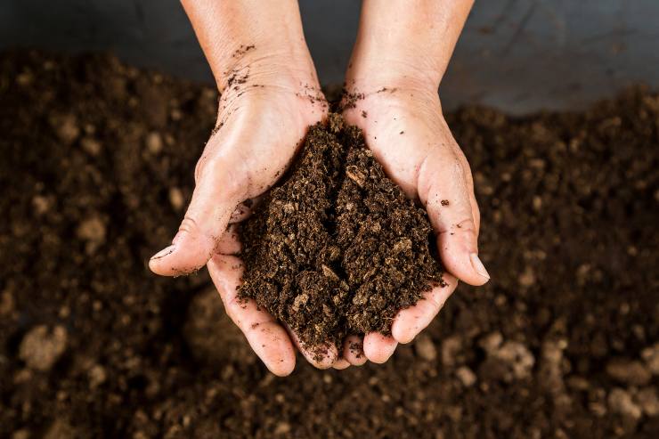 Compost e Concime, non si butta via nulla_ ecco come crearlo a casa