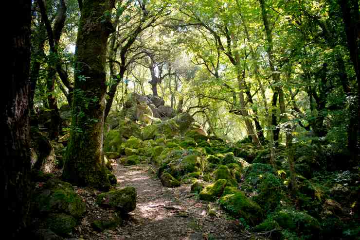 Natura incontaminata, in Italia esiste ancora_ 4 angoli di paradiso da visitare