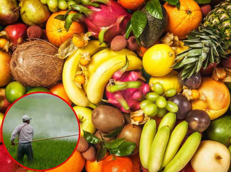 Pesticidi nella frutta - Fonte AdobeStock