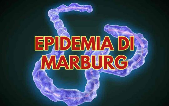 Allarme epidemia virus Marburg