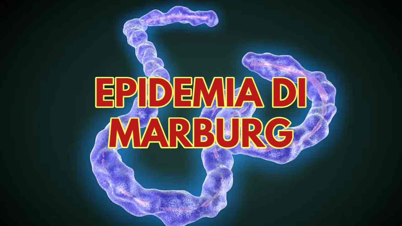 Allarme epidemia virus Marburg