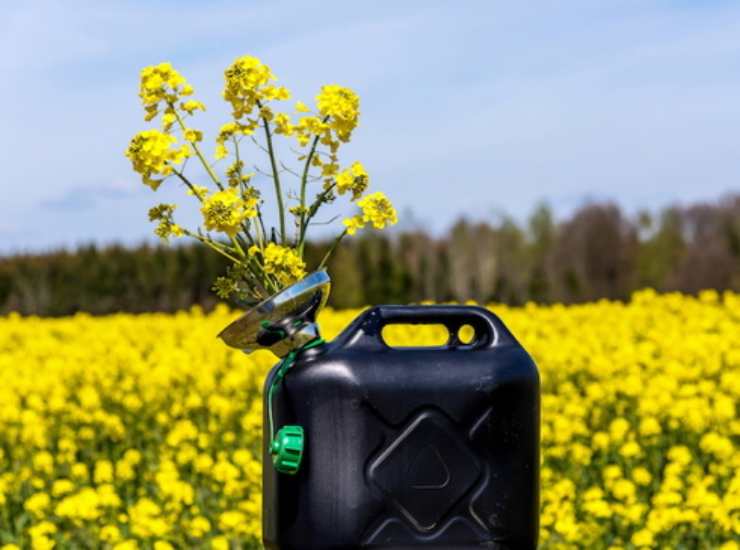 Biocarburanti e impatto sull'ambiente
