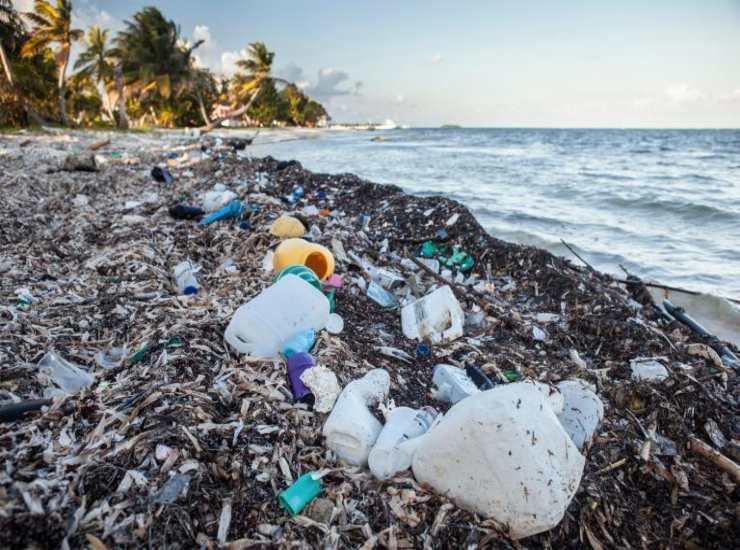 Inquinamento da plastica sulle coste