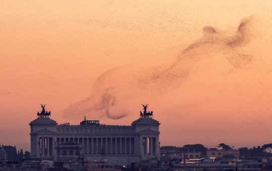 Spettacolo nel cielo di Roma_ _Danza di uccelli_ _ Il video é da brividi [VIDEO]