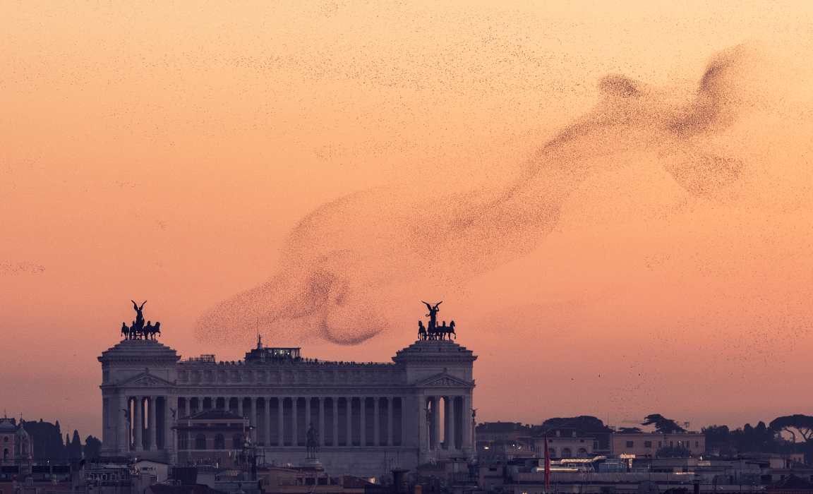 Spettacolo nel cielo di Roma_ _Danza di uccelli_ _ Il video é da brividi [VIDEO]
