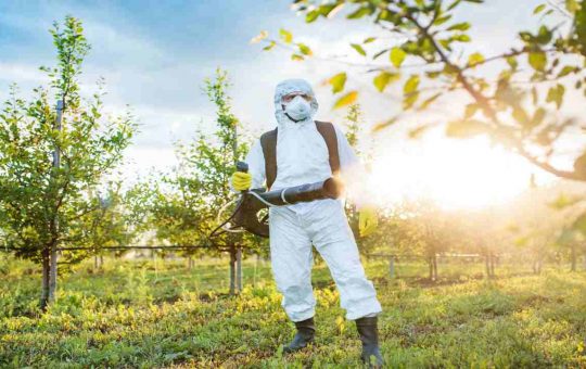 I pesticidi e i fertilizzanti che avvelenano la natura e la salute delle specie viventi