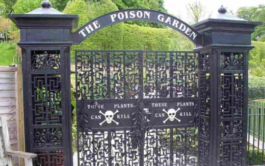 I cancelli di Alnwick Garden, il giardino più velenoso