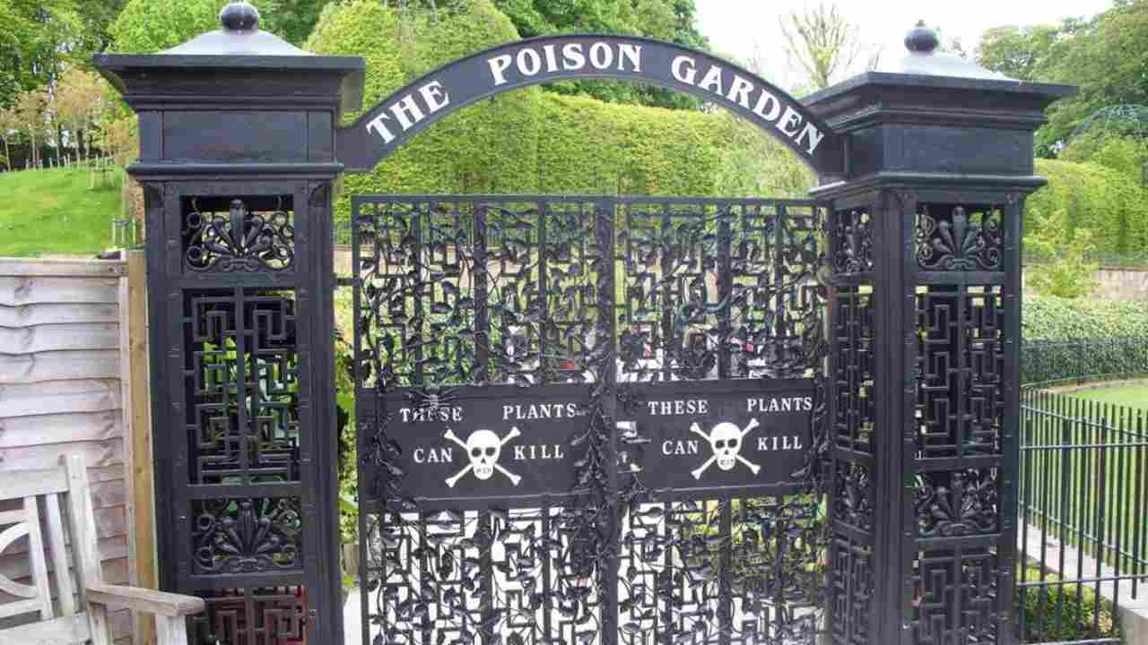 I cancelli di Alnwick Garden, il giardino più velenoso