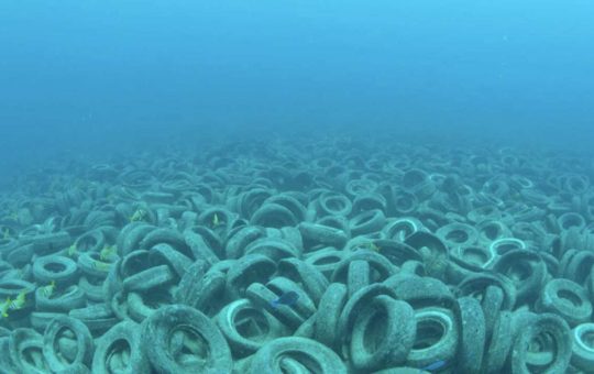 La Osborne Reef