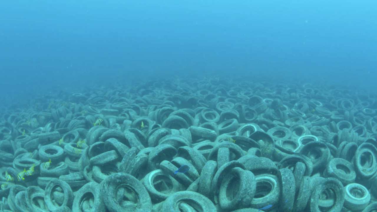 La Osborne Reef