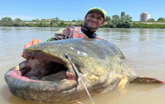 L'incredibile pesca lungo il fiume Po