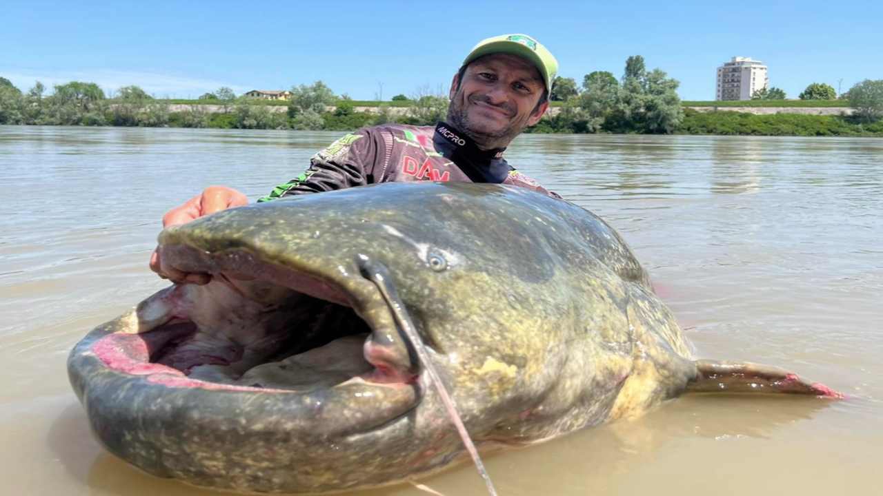 L'incredibile pesca lungo il fiume Po