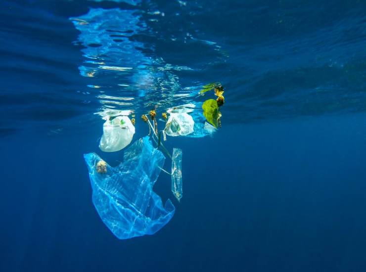 L'effetto delle bio plastiche nell'ambiente marino