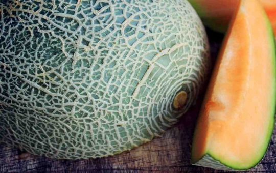 Il melone, un frutto gustoso ma non per tutti