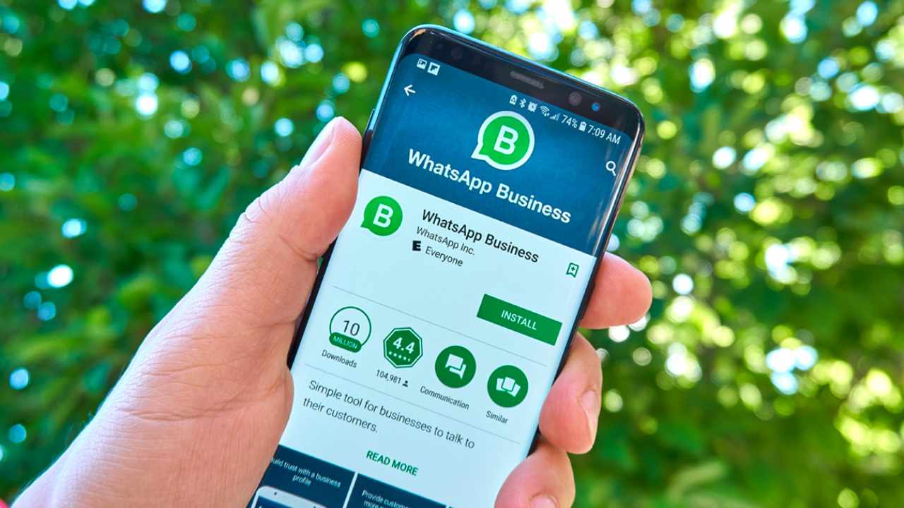 WhatsApp business, l'app per le aziende