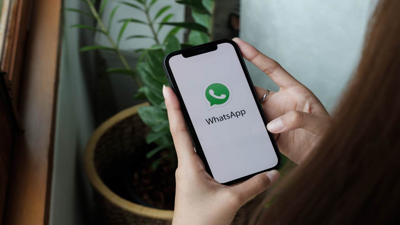 Novità sorprendente su WhatsApp